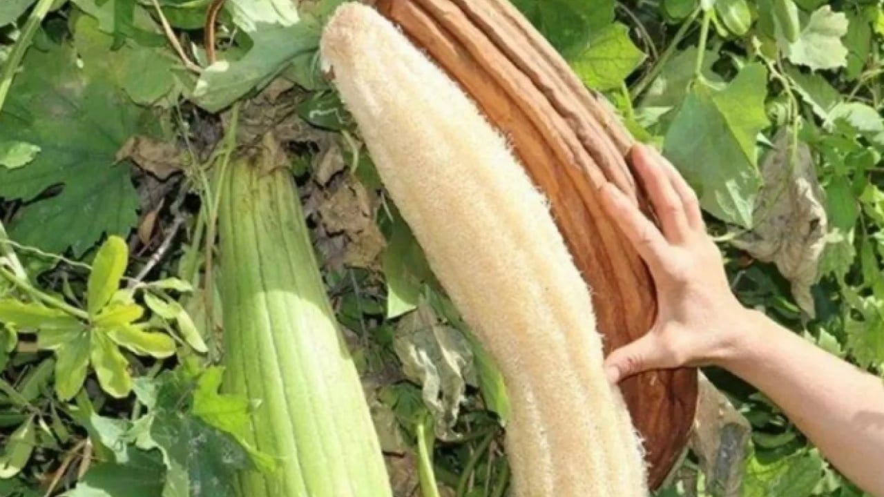 Foto - Bir kez deneyen vazgeçemiyor! Hem mutfakta hem banyoda kullanılıyor