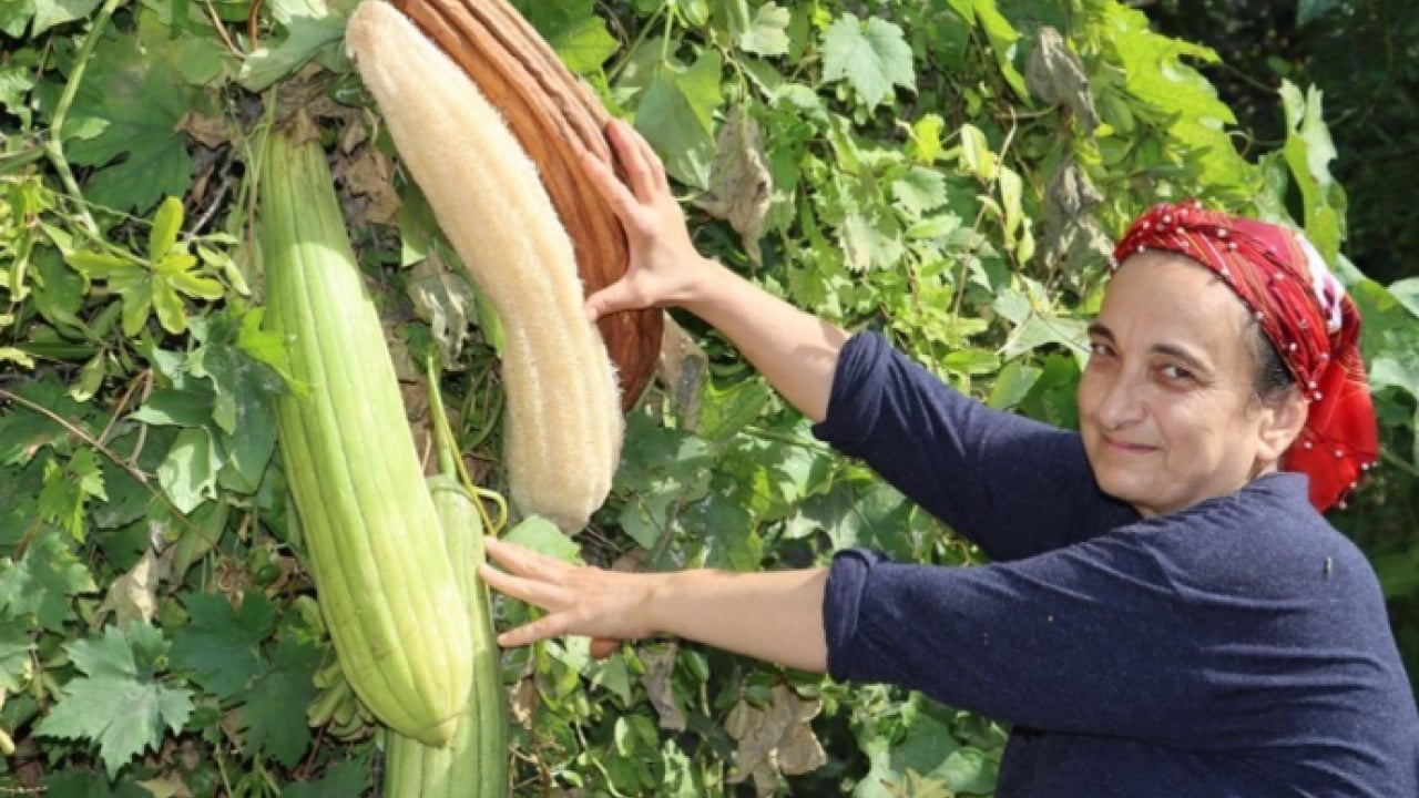 Foto - Bir kez deneyen vazgeçemiyor! Hem mutfakta hem banyoda kullanılıyor