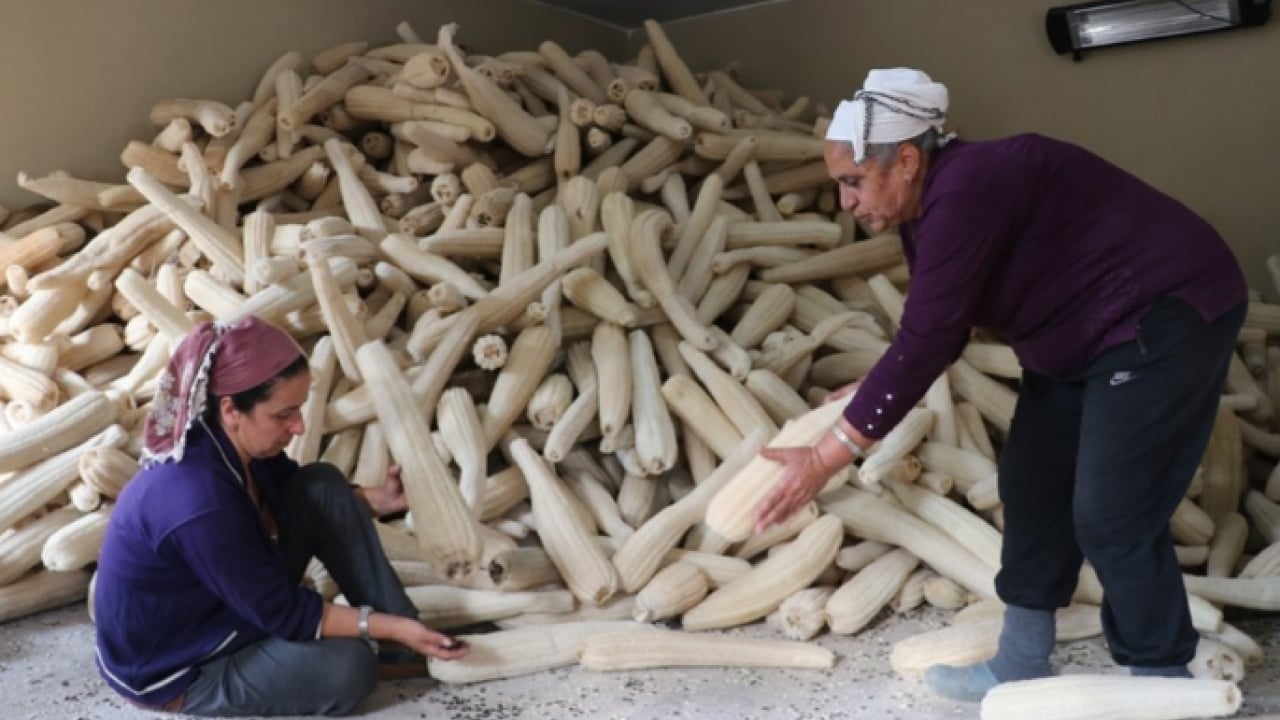 Foto - Bir kez deneyen vazgeçemiyor! Hem mutfakta hem banyoda kullanılıyor