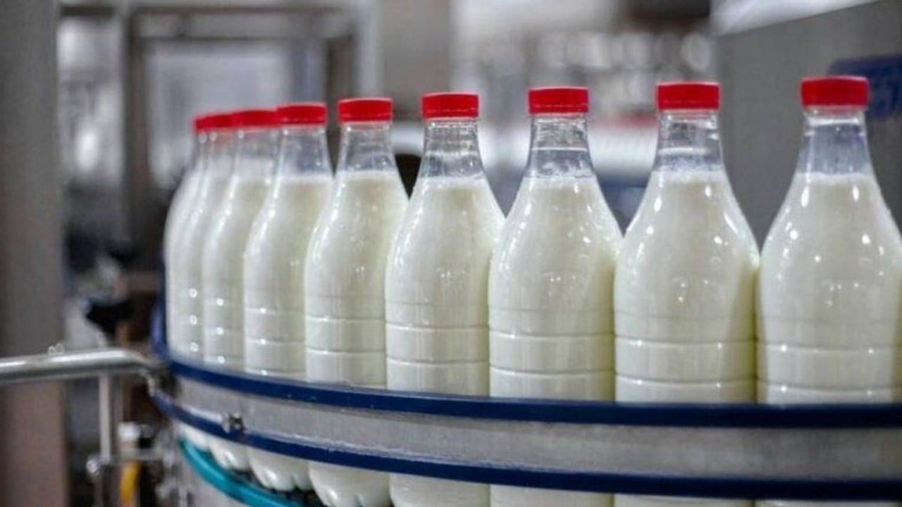 Bir kötü haber daha: Meşhur süt firması iflas etti