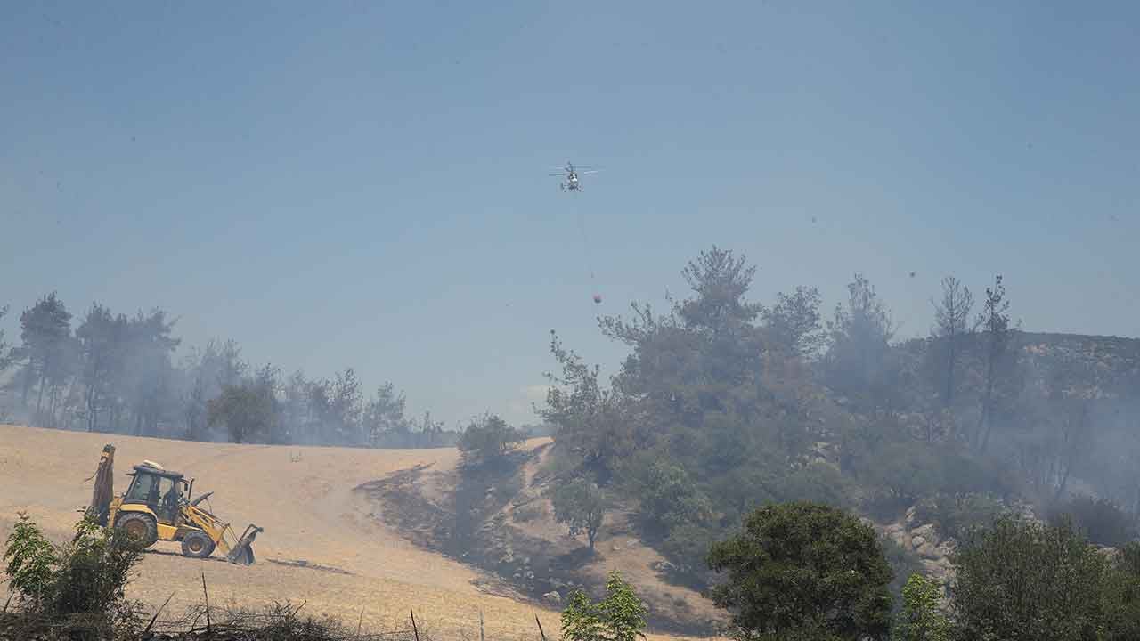 Foto - Bir kötü haber de Balıkesir'den geldi
