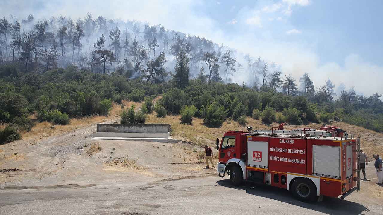 Foto - Bir kötü haber de Balıkesir'den geldi