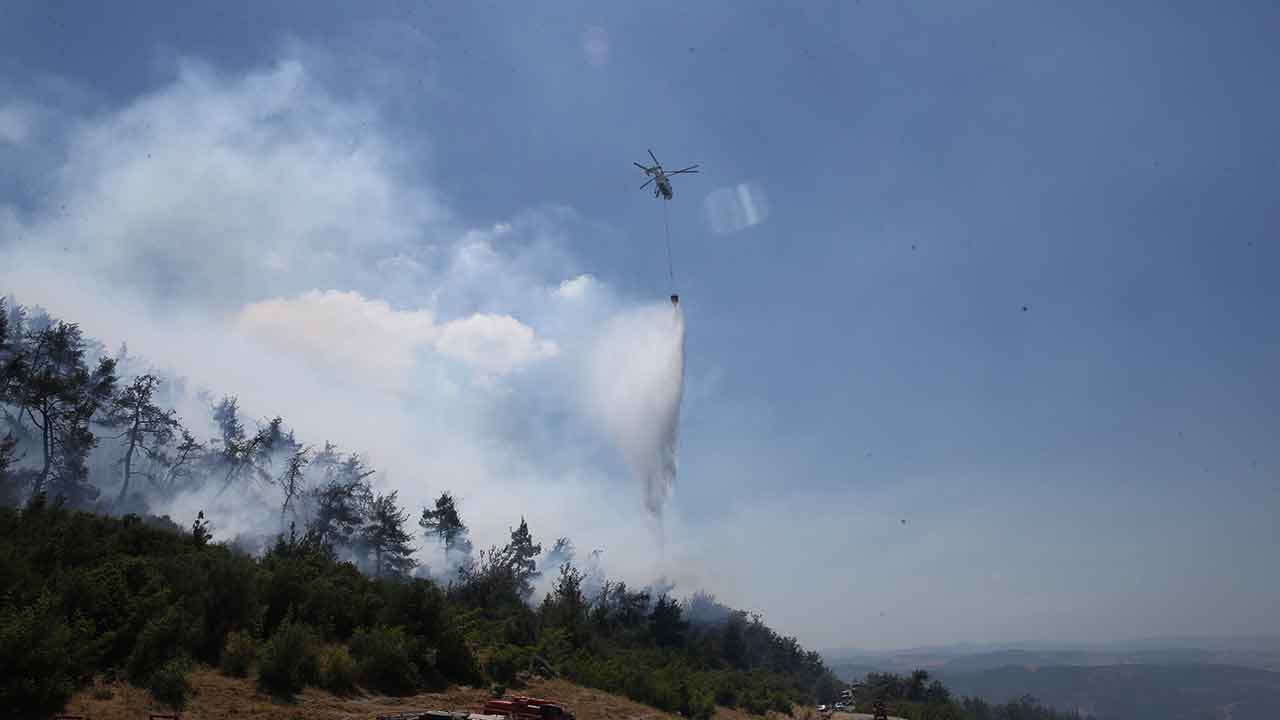 Foto - Bir kötü haber de Balıkesir'den geldi