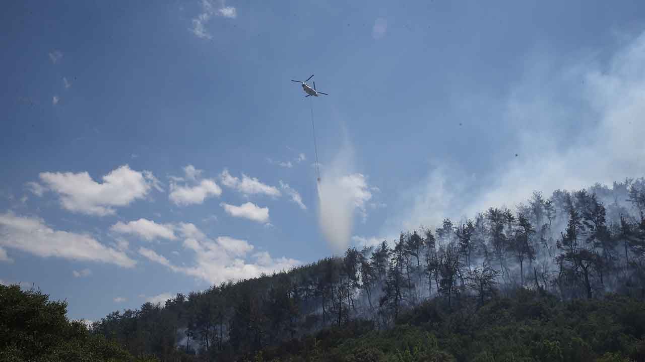 Foto - Bir kötü haber de Balıkesir'den geldi