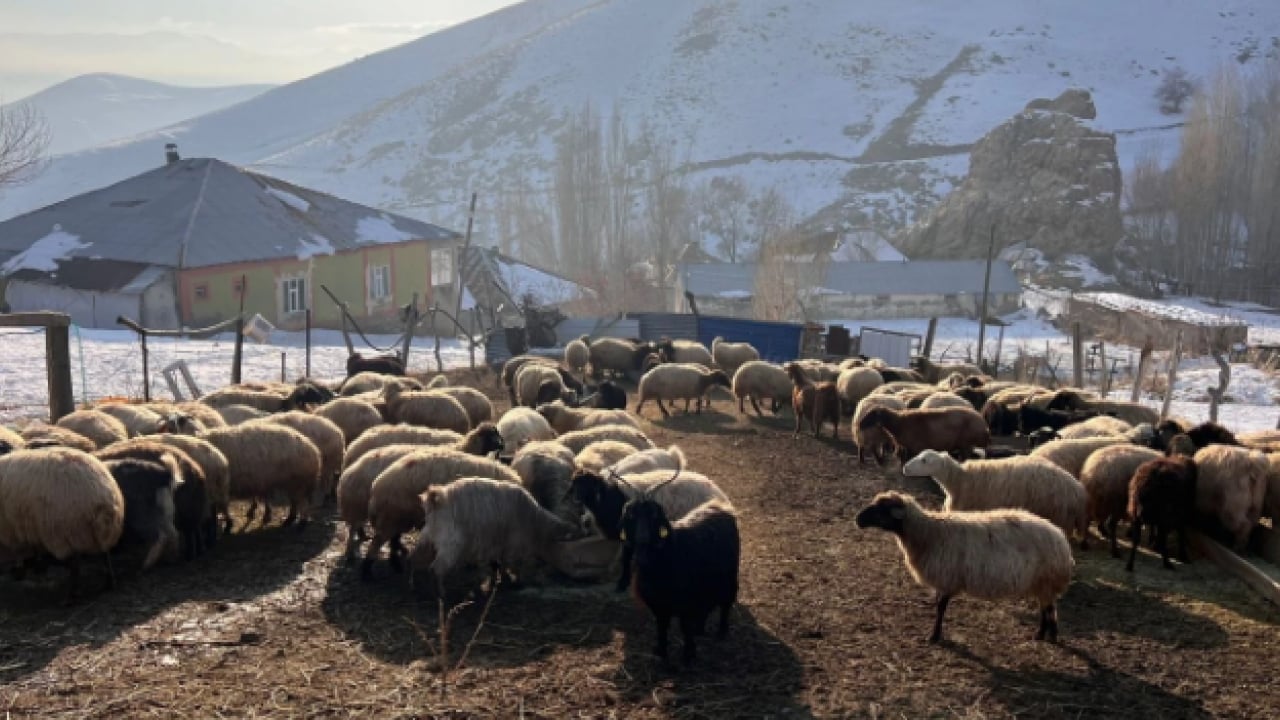 Foto - Bir taraf buz kesiyor, diğer taraf baharı yaşıyor! Aynı ilde iki mevsim şaşırttı