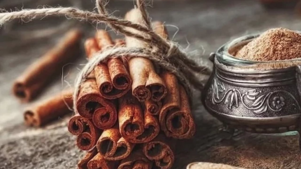 Foto - Bir tutamı yetiyor: Osmanlı mutfağının efsanevi baharatı Dar-ı Çin: Lezzet ve şifanın asırlık mirası