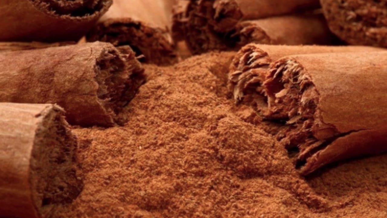 Foto - Bir tutamı yetiyor: Osmanlı mutfağının efsanevi baharatı Dar-ı Çin: Lezzet ve şifanın asırlık mirası