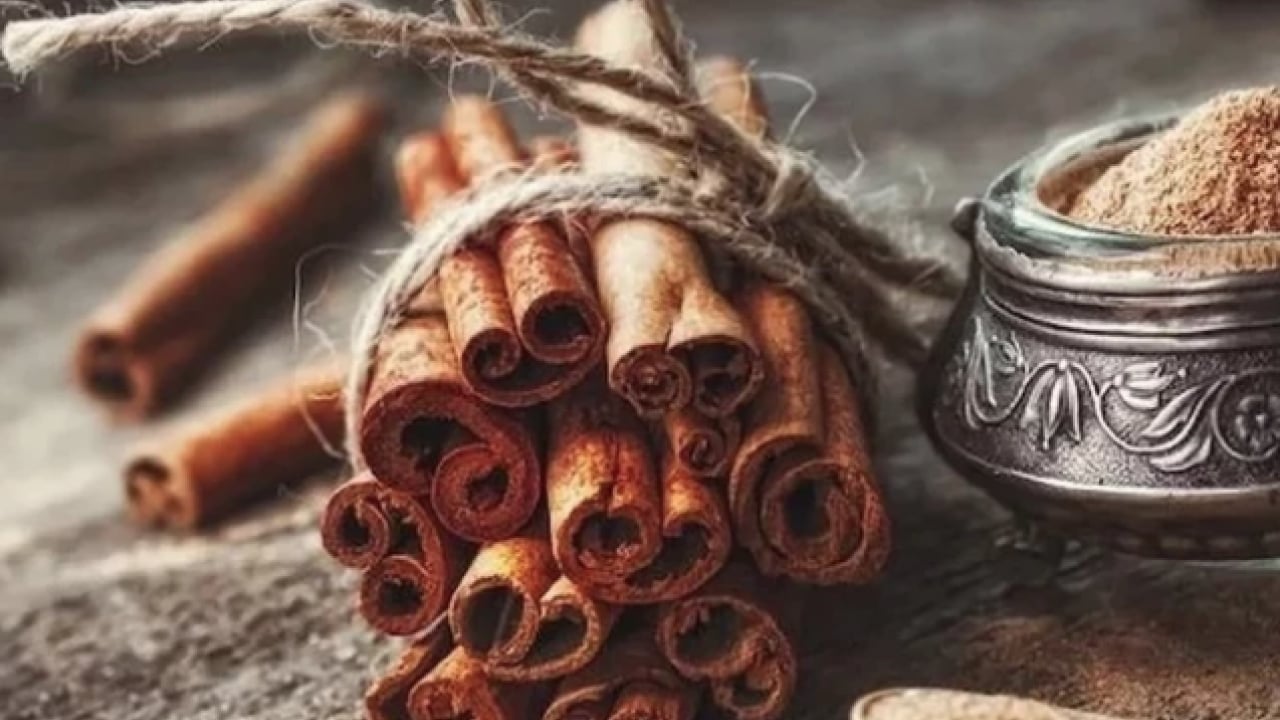 Foto - Bir tutamı yetiyor: Osmanlı mutfağının efsanevi baharatı Dar-ı Çin: Lezzet ve şifanın asırlık mirası