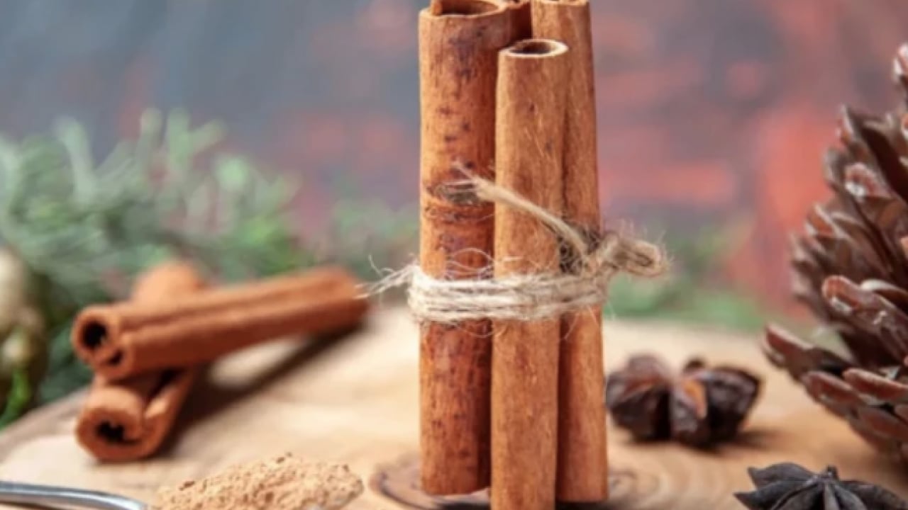 Foto - Bir tutamı yetiyor: Osmanlı mutfağının efsanevi baharatı Dar-ı Çin: Lezzet ve şifanın asırlık mirası