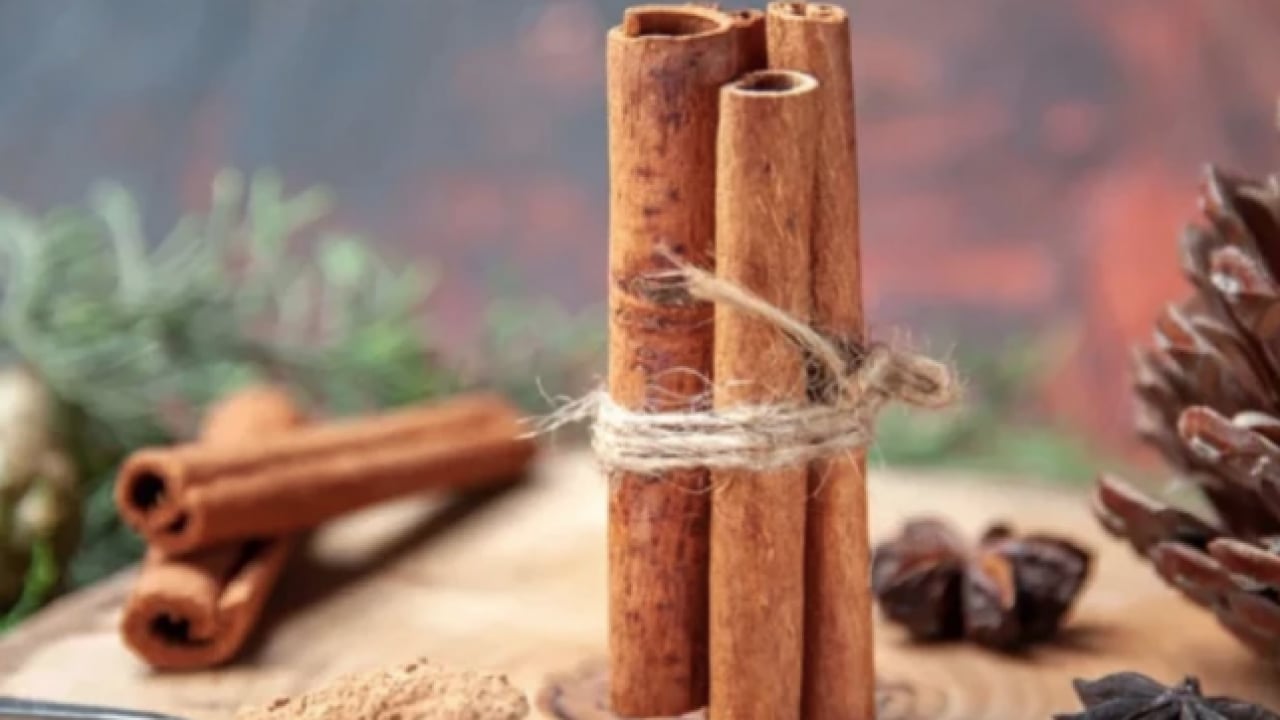 Foto - Bir tutamı yetiyor: Osmanlı mutfağının efsanevi baharatı Dar-ı Çin: Lezzet ve şifanın asırlık mirası