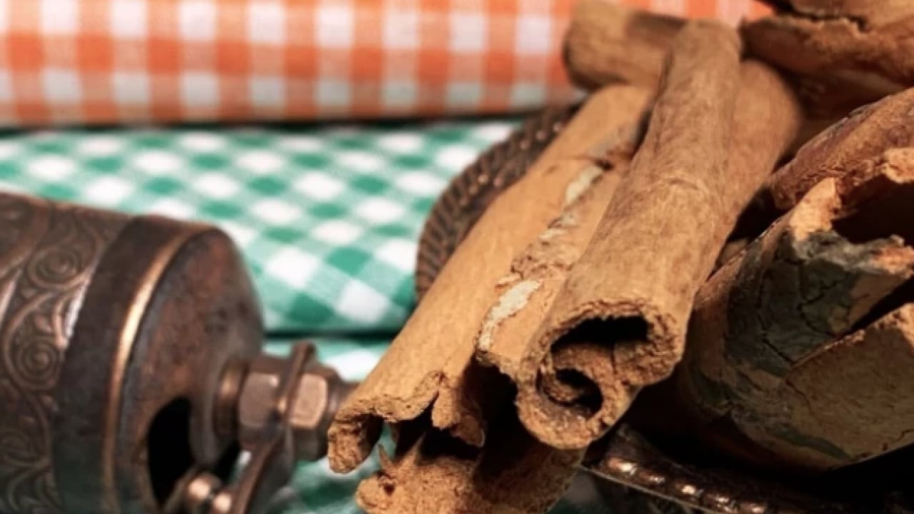 Foto - Bir tutamı yetiyor: Osmanlı mutfağının efsanevi baharatı Dar-ı Çin: Lezzet ve şifanın asırlık mirası