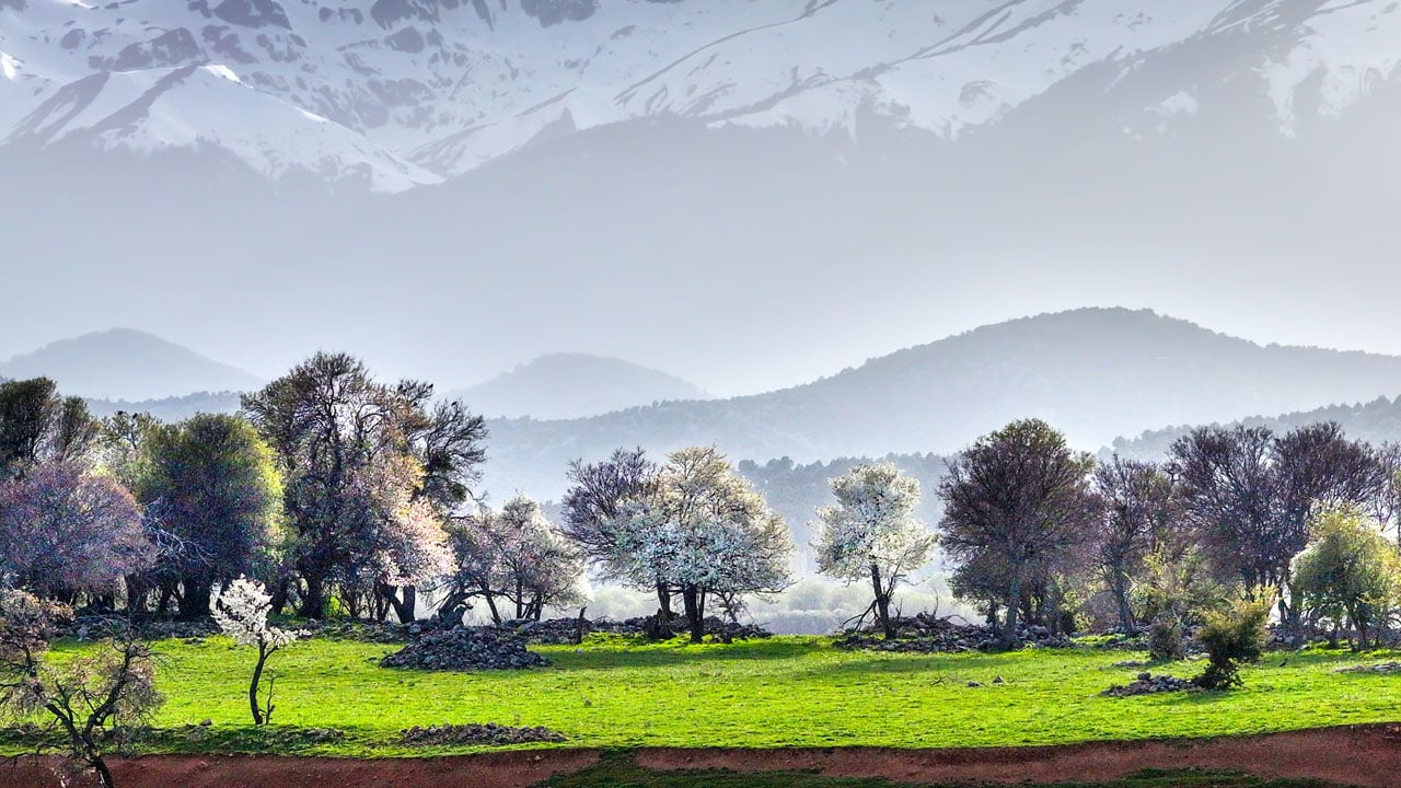 Foto - Bir yanda kış, bir yanda bahar! Beyşehir Gölü çevresinde kartpostallık manzara 