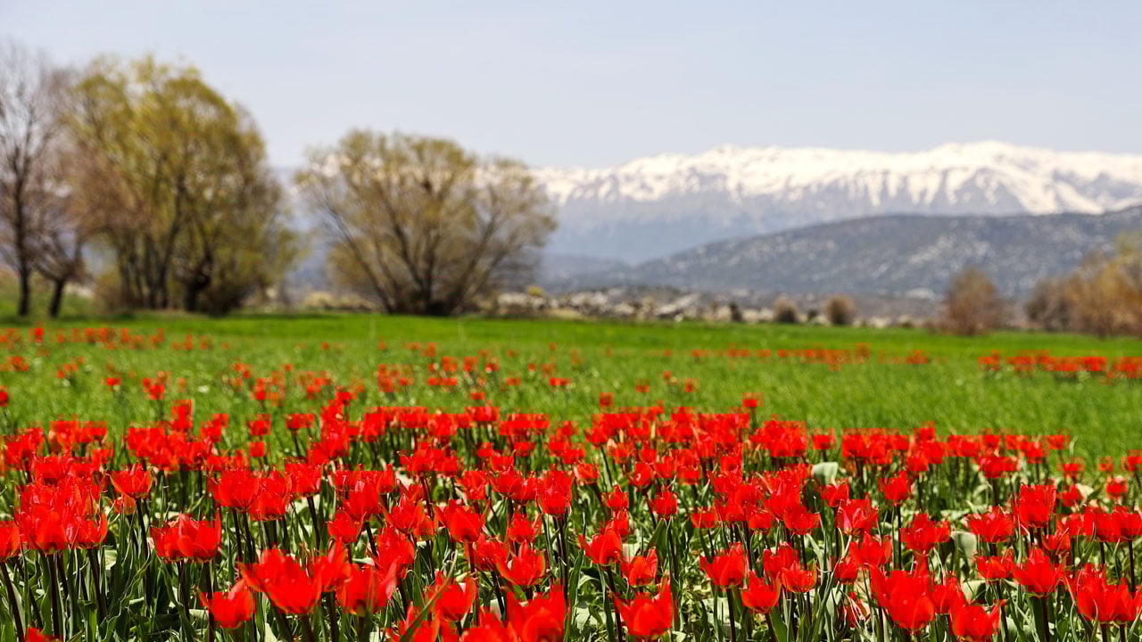 Foto - Bir yanda kış, bir yanda bahar! Beyşehir Gölü çevresinde kartpostallık manzara 