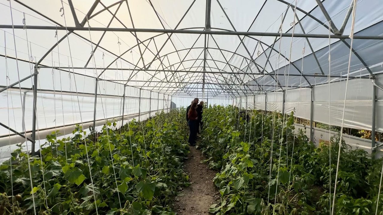 Foto - Bir zamanlar sessizdi, şimdi yeniden hayat var! Yüksekova’nın boşaltılan köyleri seralarla canlandı