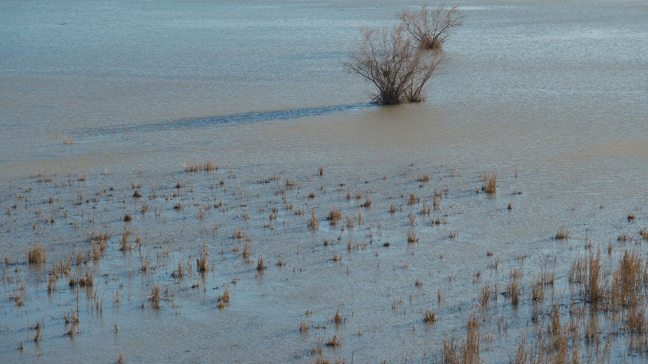 Foto - Bir zamanlar tamamen kurumuştu! Nasrettin Hoca’nın maya çaldığı gölde dikkat çeken değişim