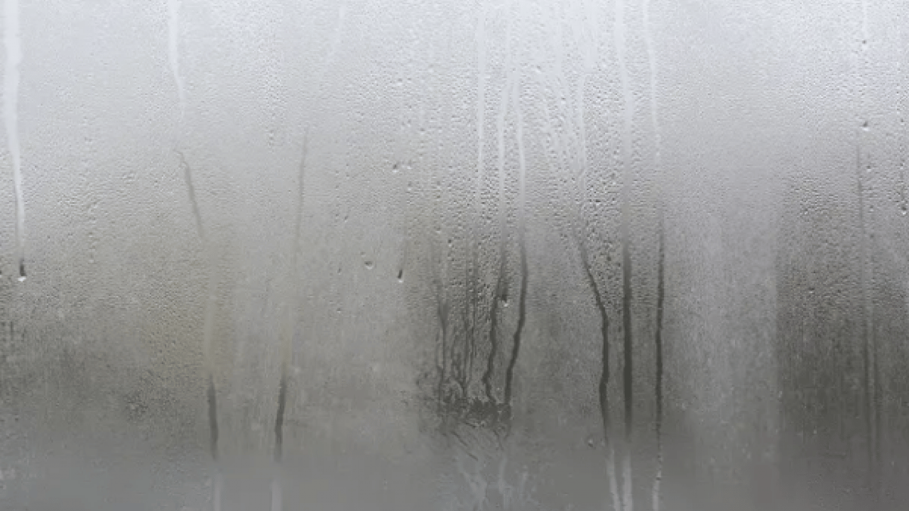 Birçok kişinin otomatik refleksi... Yağmur yağarken sakın pencereleri kapatmayın!