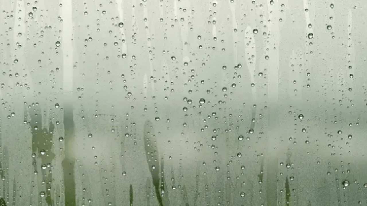 Foto - Birçok kişinin otomatik refleksi... Yağmur yağarken sakın pencereleri kapatmayın!