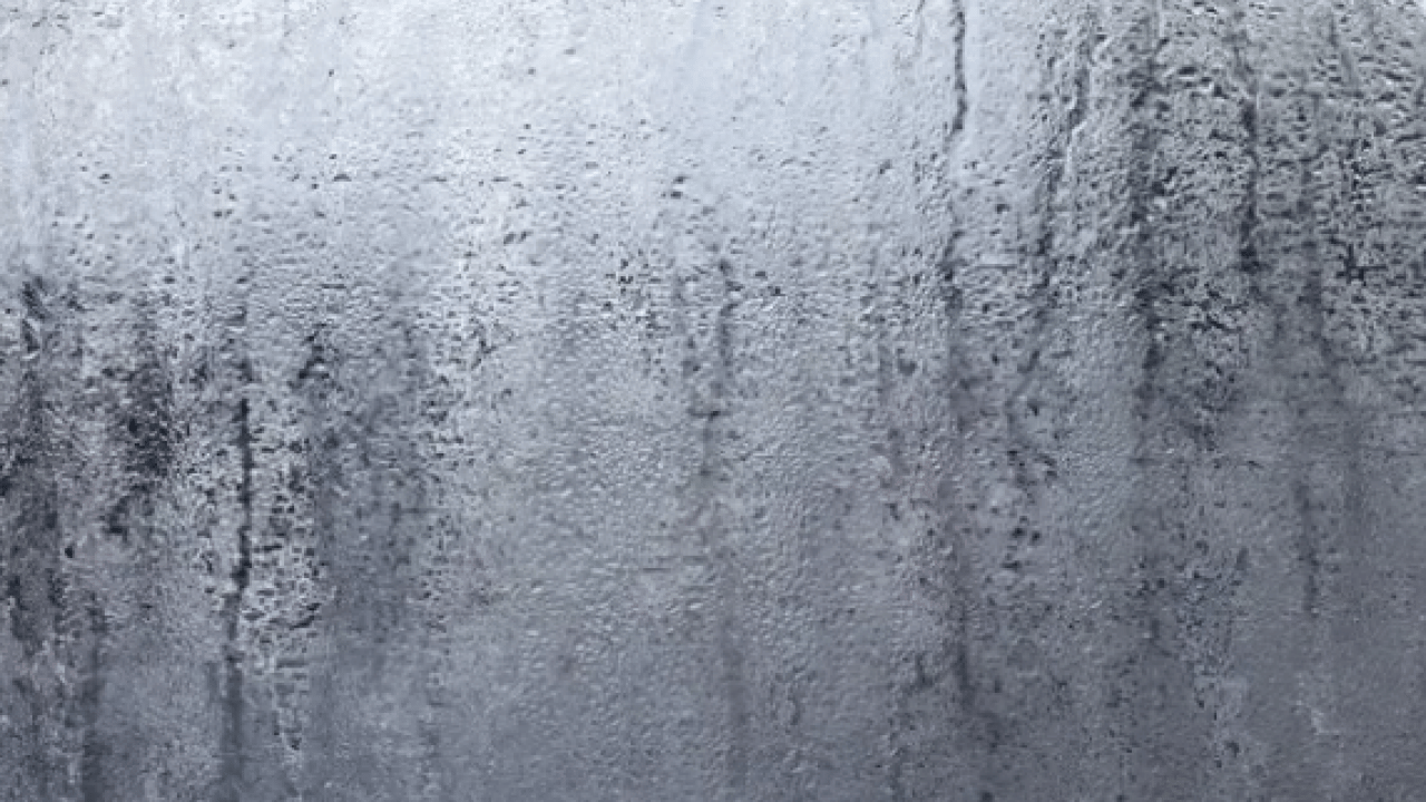 Foto - Birçok kişinin otomatik refleksi... Yağmur yağarken sakın pencereleri kapatmayın!