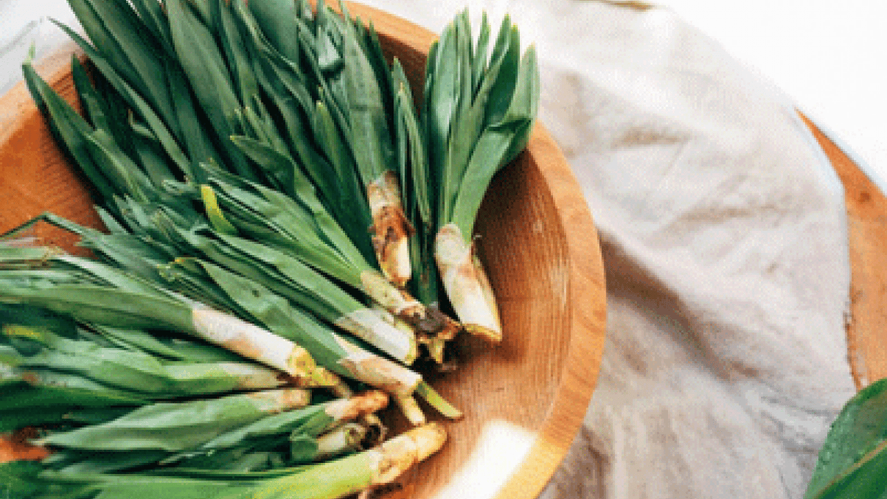 Foto - Biruni'nin eserlerinde hep yer almış! Doğal ağrı kesici dağ yamacında yetişiyor