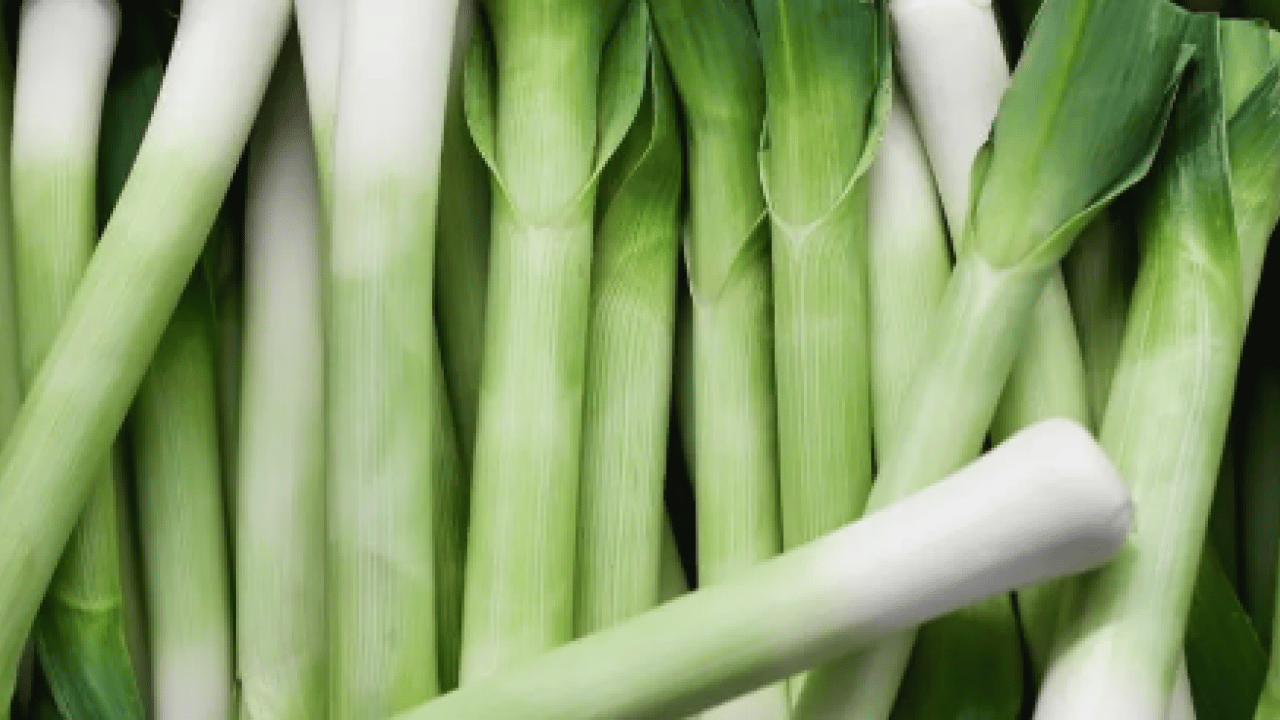 Foto - Biruni'nin eserlerinde hep yer almış! Doğal ağrı kesici dağ yamacında yetişiyor