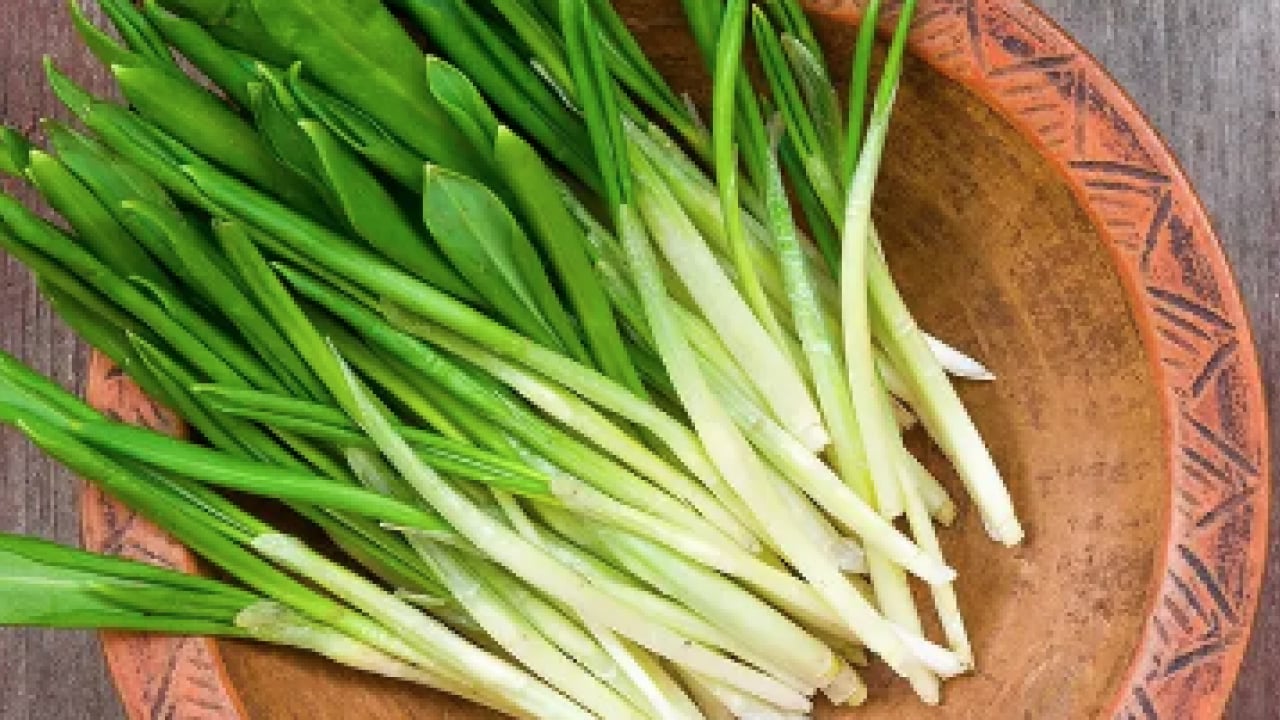 Foto - Biruni'nin eserlerinde hep yer almış! Doğal ağrı kesici dağ yamacında yetişiyor