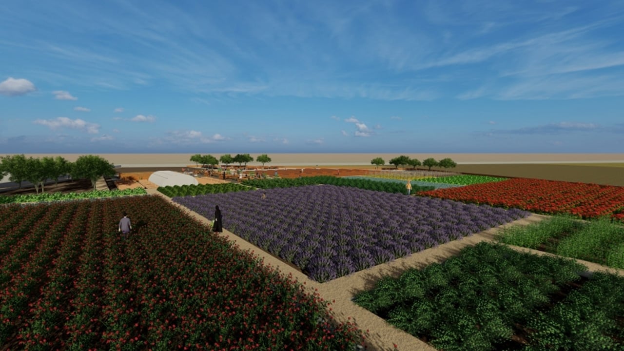 Foto - Bitkiler sayabiliyor! Bilim dünyasının bakışını kökten değişebilir: Zeka tanımımızı sarsan tarihi keşif