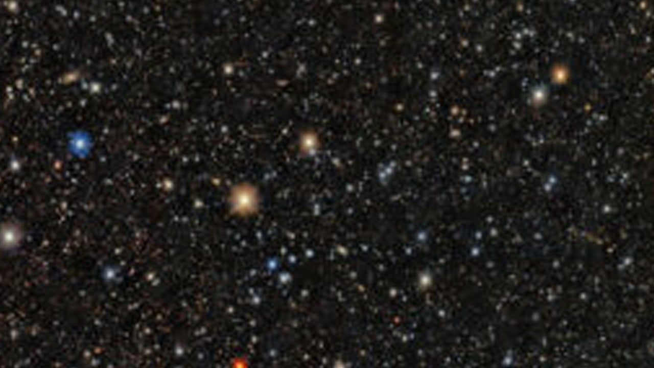 Foto - Bitkiler sayabiliyor! Bilim dünyasının bakışını kökten değişebilir: Zeka tanımımızı sarsan tarihi keşif