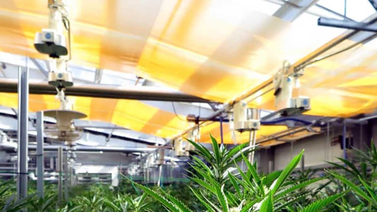 Foto - Bitkilere "quantum" dopingi! Verim yüzde 40’a dayandı