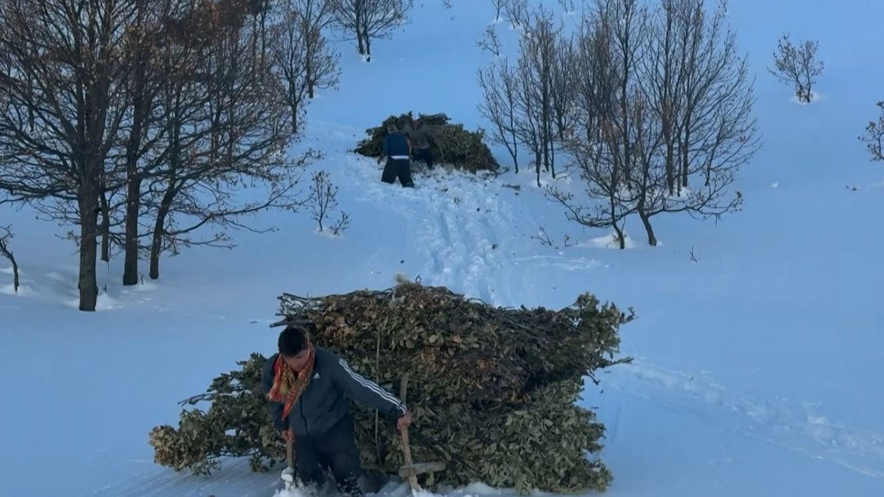 Foto - Bitlis kışa teslim! Kar yolları kapattı besiciler yolları kızakla aştı