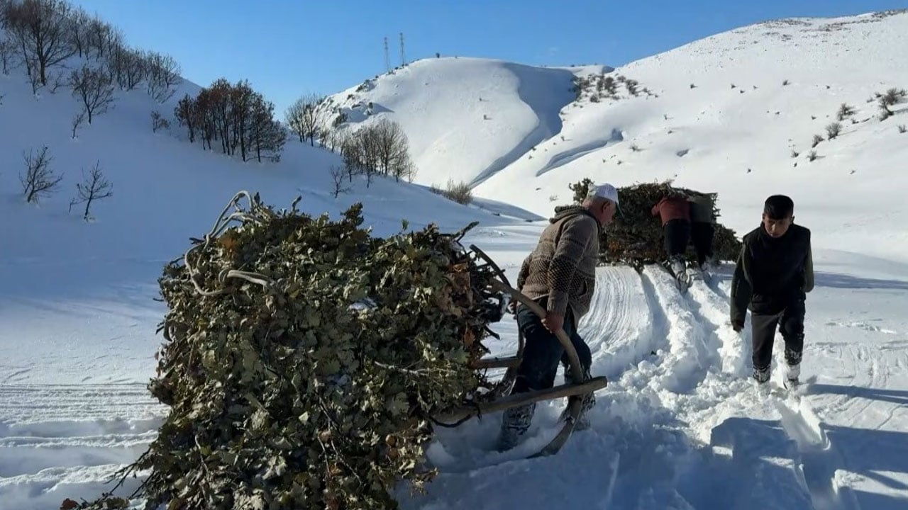 Foto - Bitlis kışa teslim! Kar yolları kapattı besiciler yolları kızakla aştı