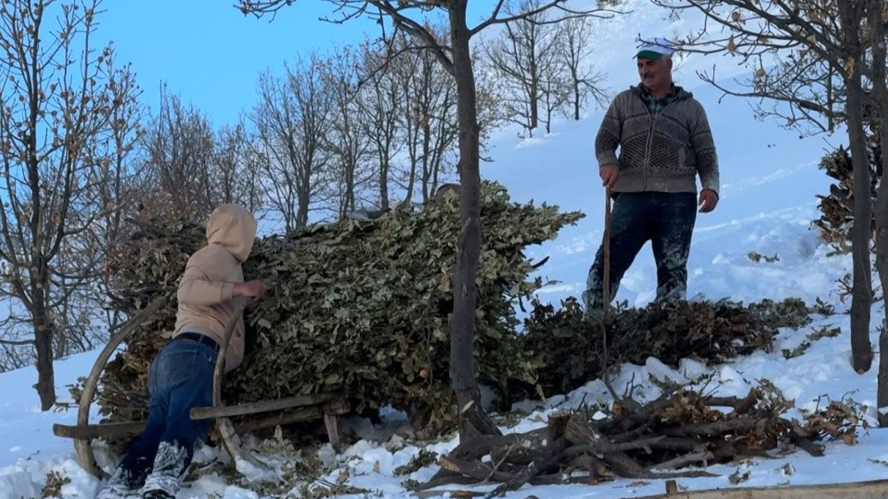 Foto - Bitlis kışa teslim! Kar yolları kapattı besiciler yolları kızakla aştı