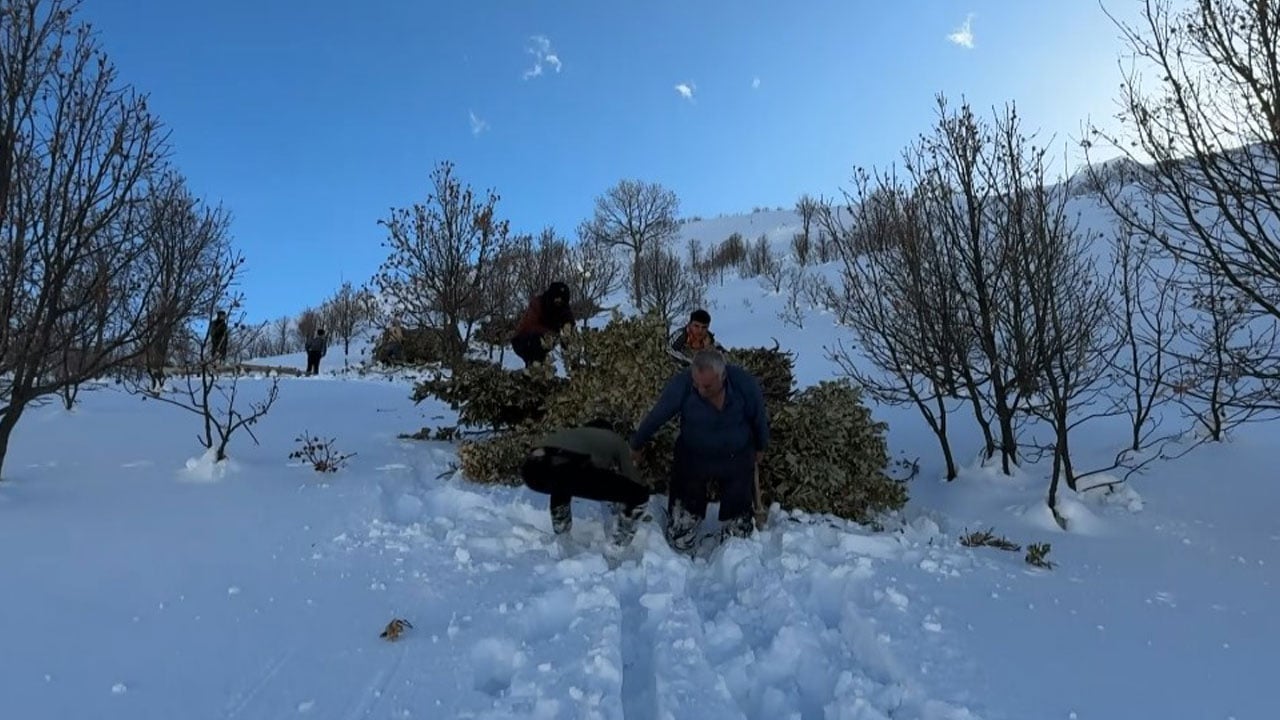 Foto - Bitlis kışa teslim! Kar yolları kapattı besiciler yolları kızakla aştı