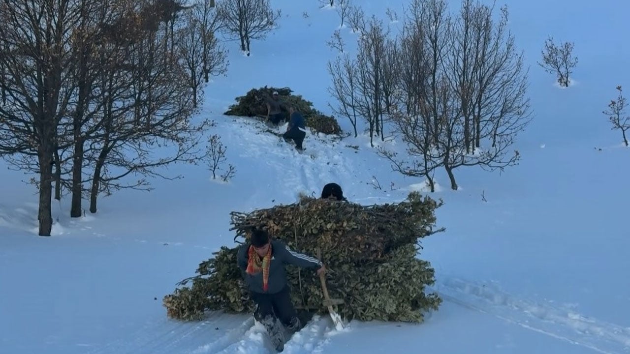 Foto - Bitlis kışa teslim! Kar yolları kapattı besiciler yolları kızakla aştı
