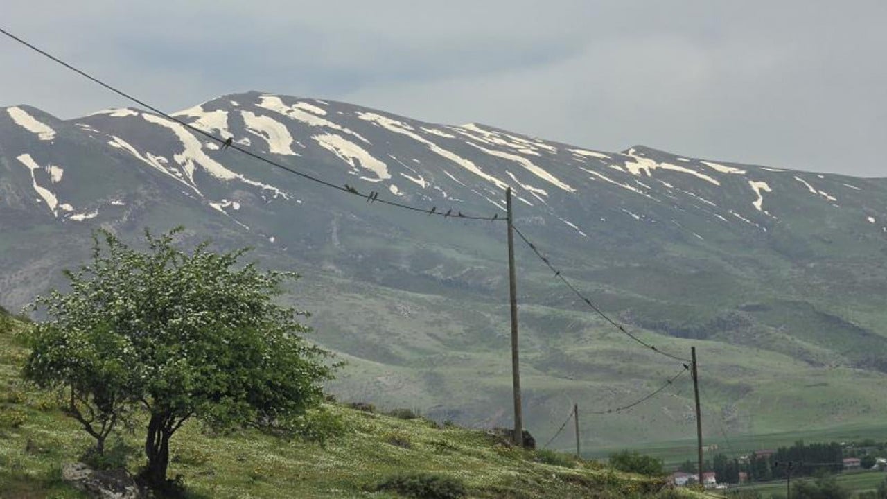 Foto - Bitlis’in rengârenk misafirleri: Arı kuşları böyle görsel şölen sundu