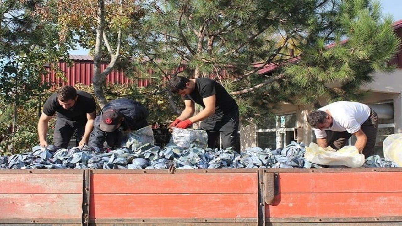 Foto - Biz değerini bilmiyoruz ama Ruslar kamyon kamyon götürüyor! Meğer o süper besin tam bir gençlik iksiriymiş