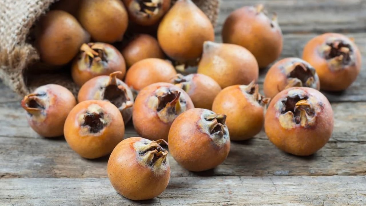 Foto - Bize ilave güç: Muşmulanın faydaları say say bitmiyor! Metabolizmanın hızlanmasını sağlıyor detoks etkisi gösteriyor 