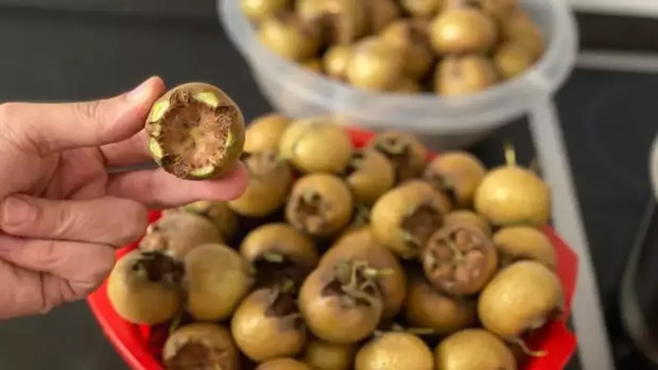 Foto - Bize ilave güç: Muşmulanın faydaları say say bitmiyor! Metabolizmanın hızlanmasını sağlıyor detoks etkisi gösteriyor 