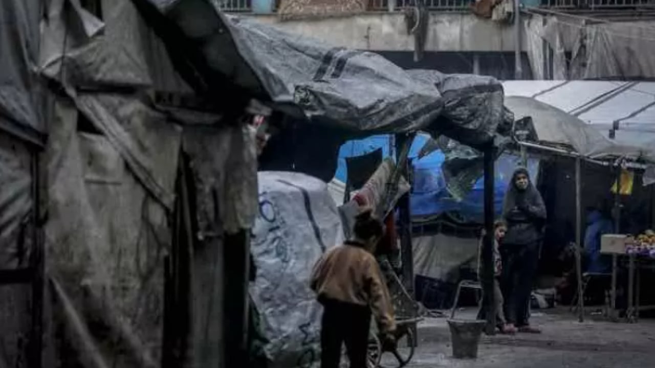 Foto - BM korkunç raporu yayınladı: Albanese 'Dehşete kapıldım' diyerek duyurdu