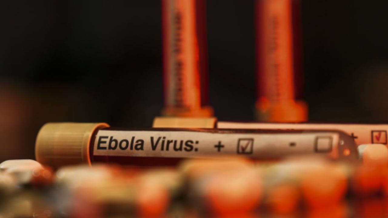 BM'den korkutan Ebola açıklaması: Risk büyüyor