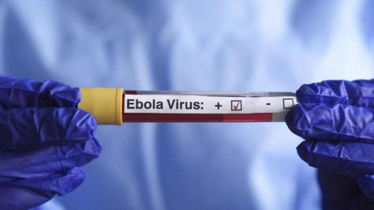Foto - BM'den korkutan Ebola açıklaması: Risk büyüyor