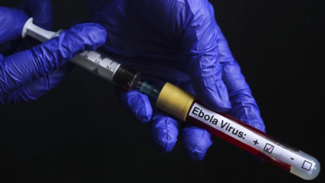 Foto - BM'den korkutan Ebola açıklaması: Risk büyüyor