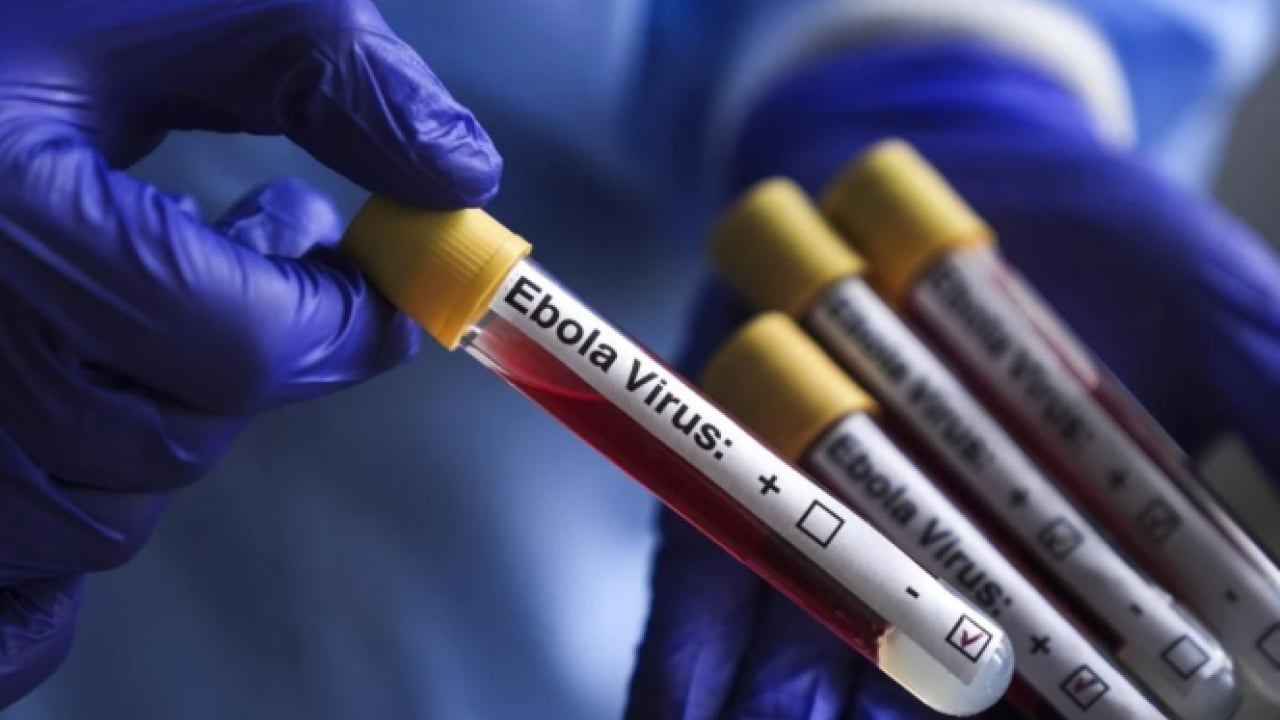 Foto - BM'den korkutan Ebola açıklaması: Risk büyüyor