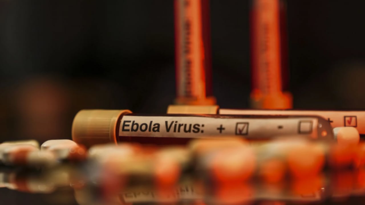 Foto - BM'den korkutan Ebola açıklaması: Risk büyüyor
