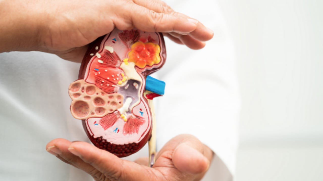 Foto - Böbrek sağlığında tuzun rolü ne? Net olarak uzman isimler o ilimizde açıkladılar... 