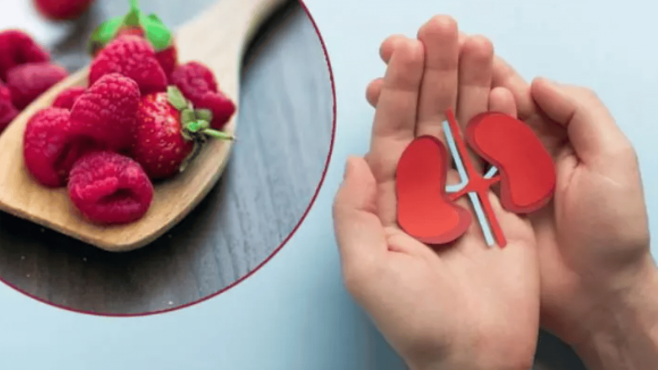 Günde bir avuç tüketin yeter: Böbrekleri koruma altına alıyor!