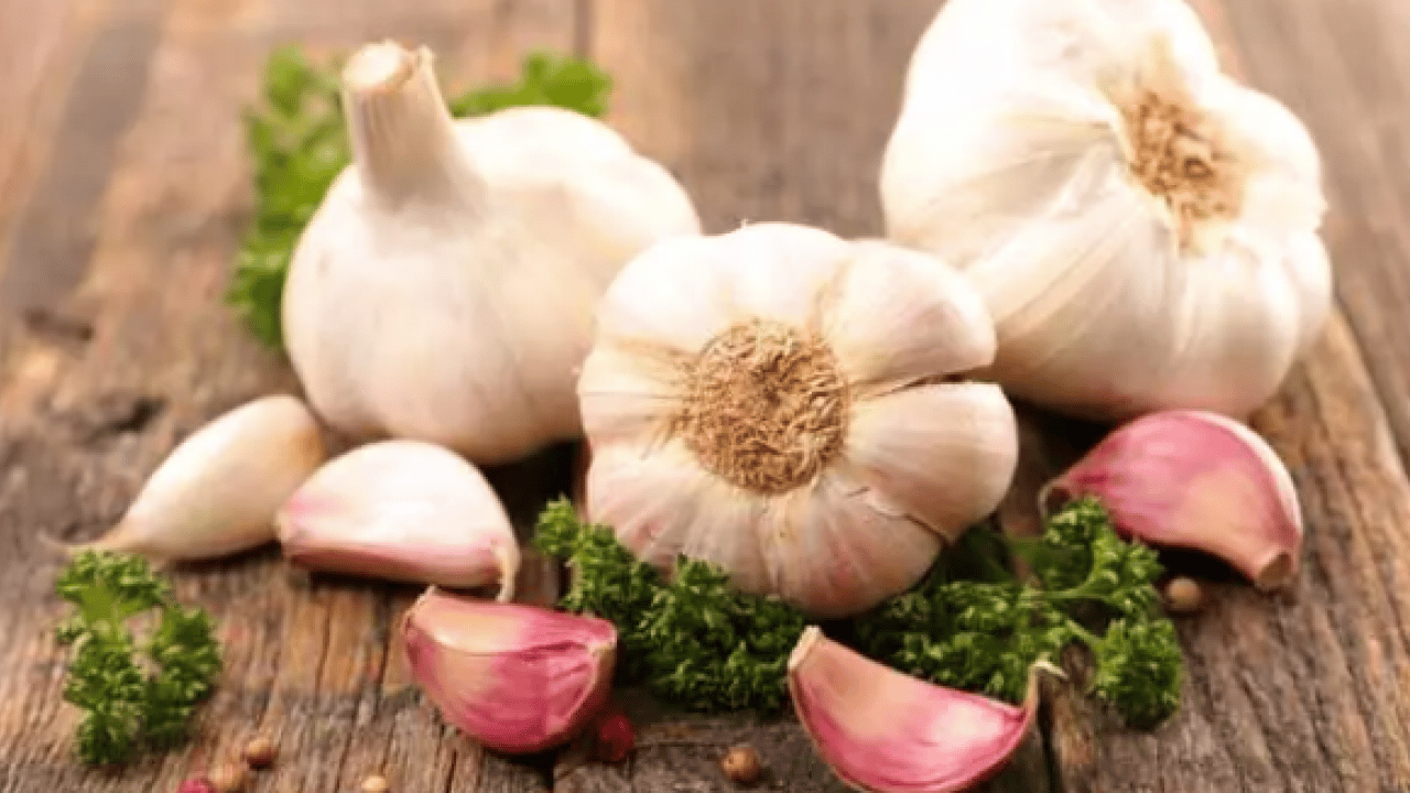 Foto - Günde bir avuç tüketin yeter: Böbrekleri koruma altına alıyor!