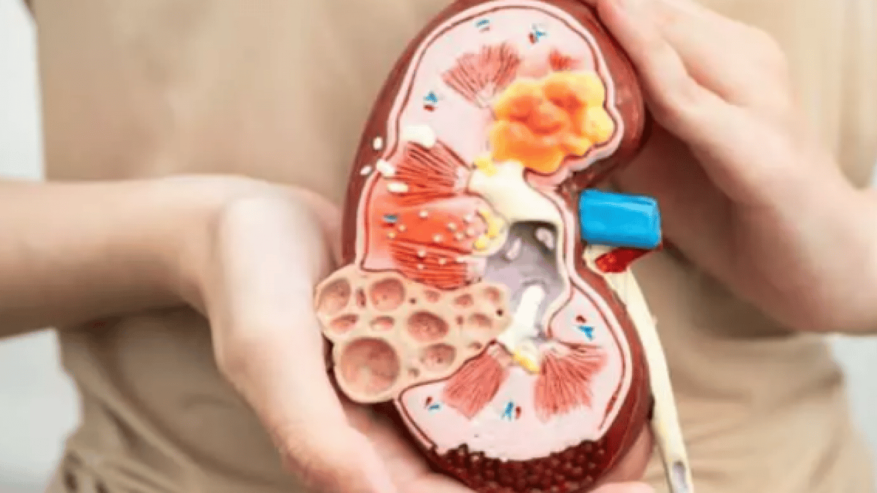 Foto - Günde bir avuç tüketin yeter: Böbrekleri koruma altına alıyor!