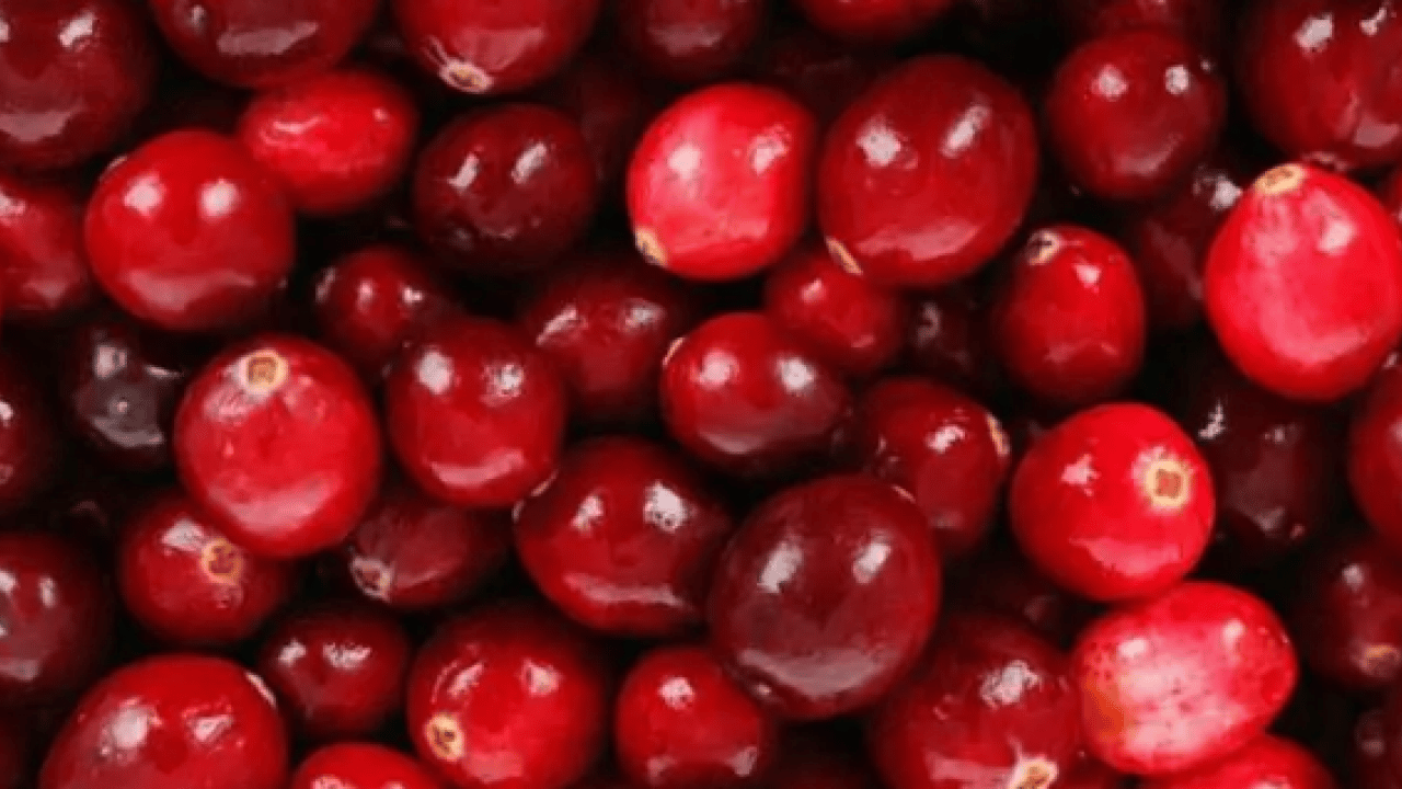 Foto - Günde bir avuç tüketin yeter: Böbrekleri koruma altına alıyor!