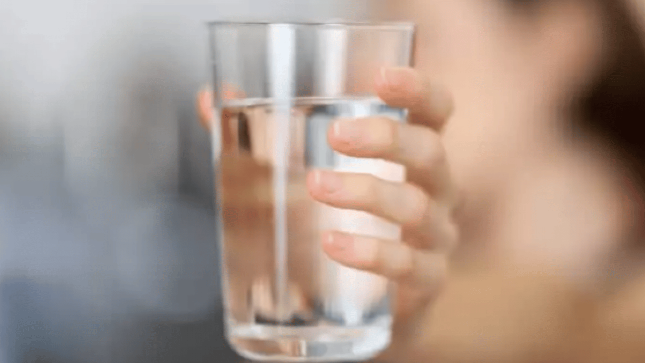 Foto - Günde bir avuç tüketin yeter: Böbrekleri koruma altına alıyor!