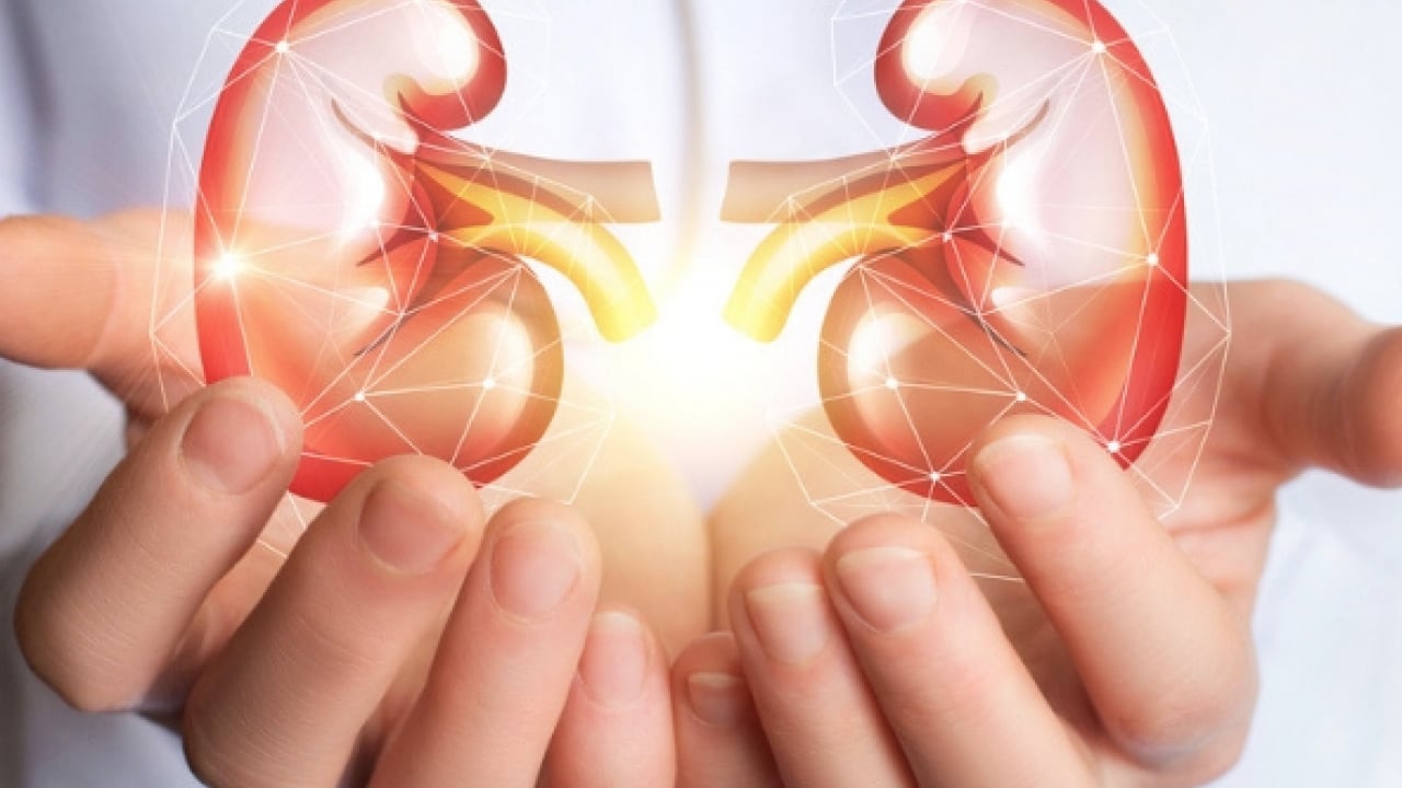 Foto - Böbrekleri çökertiyor: Meğer taş yapıyormuş! Sağlıklı diye bardak bardak içiyoruz: